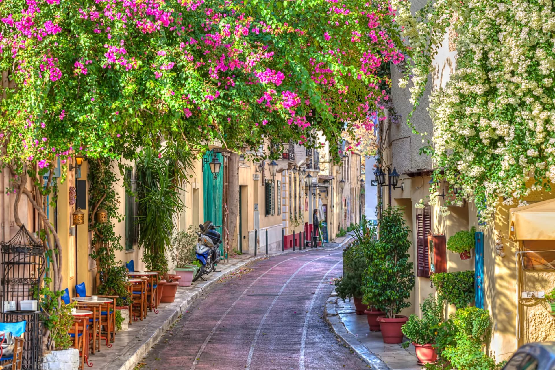 Narrow street in Athens Plaka lined with flowering bougainvillea and outdoor cafe seating