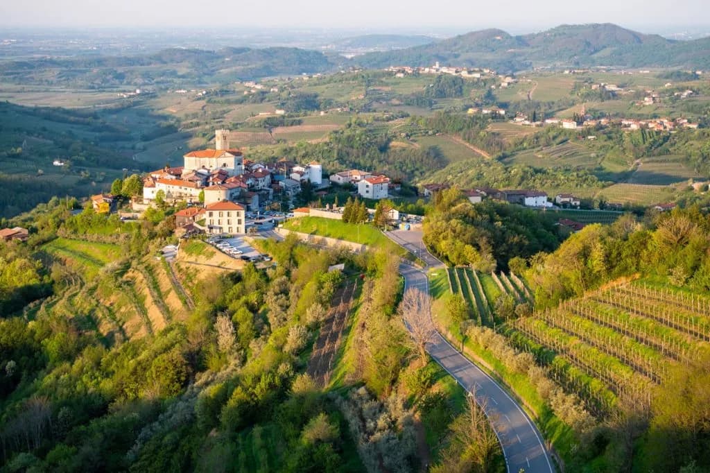 Hilltop village of Goriška Brda surrounded by green vineyards and rolling hills.
