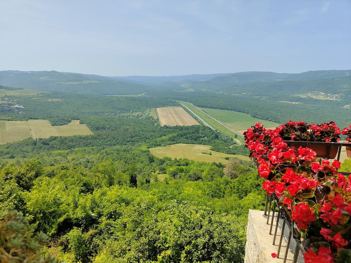 View over lush green valley with fields and distant hills, foreground with red flowers.