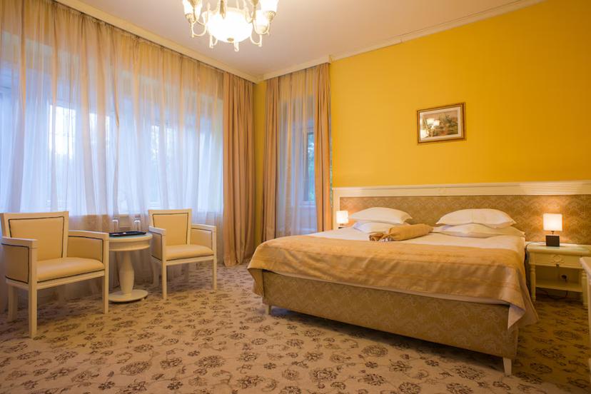 Hotel Vila Economat image 2