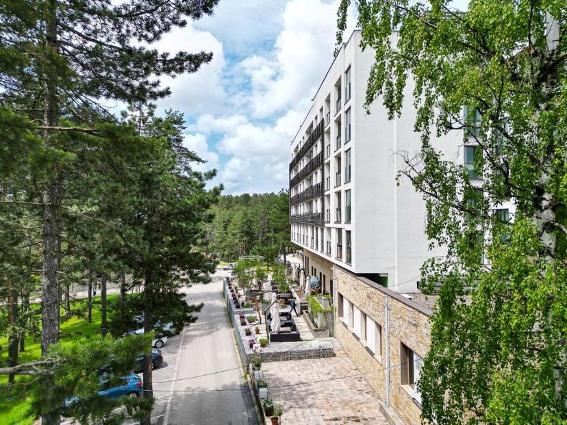 Hotel Palisad  image 1