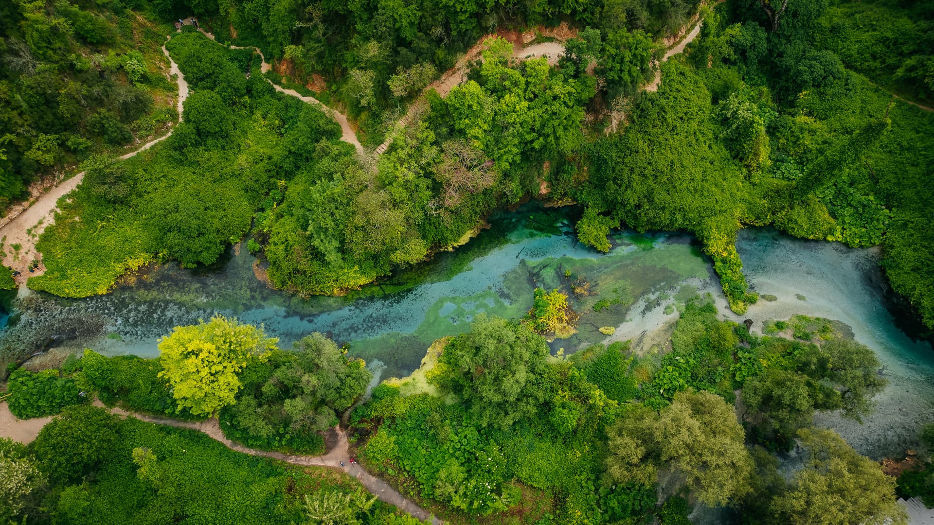 Aerial view of vibrant green forest surrounding clear turquoise river with dirt walking paths.