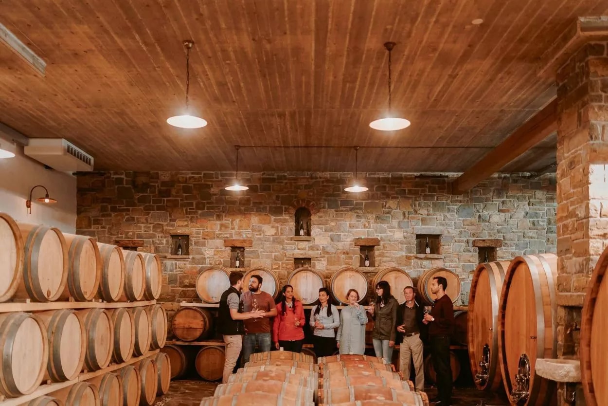 Wine-cellar-Goriska-brda