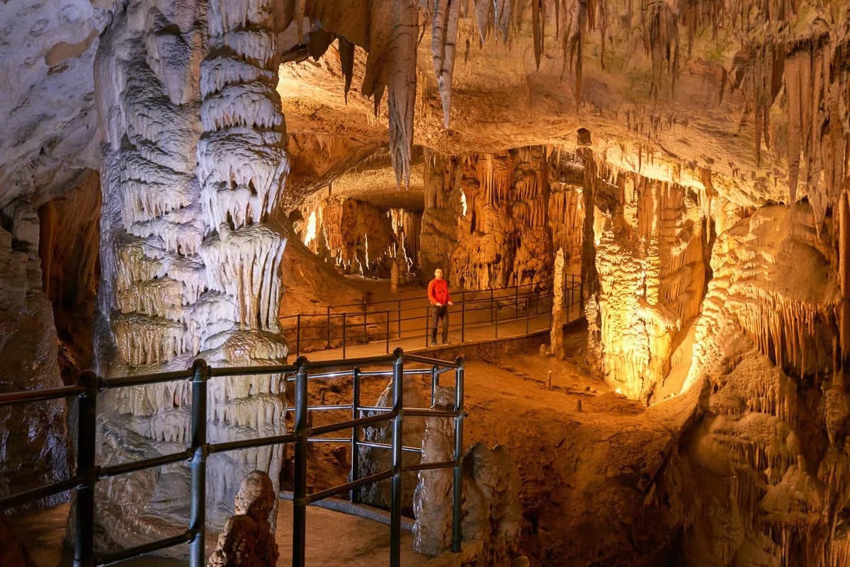 Tourist viewing large stalactites and stalagmites inside the illuminated Postojna Cave.