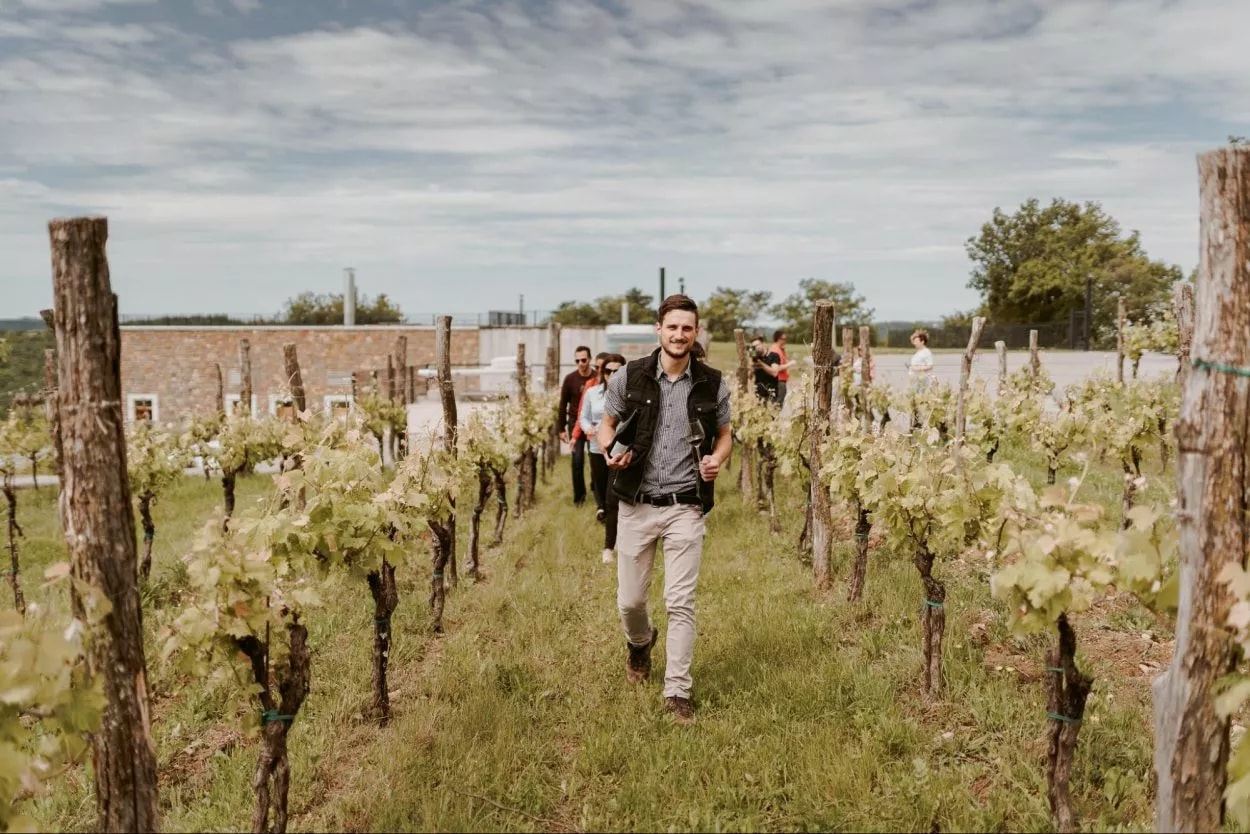 Man leading tour group through vineyard rows toward a stone building under cloudy sky
