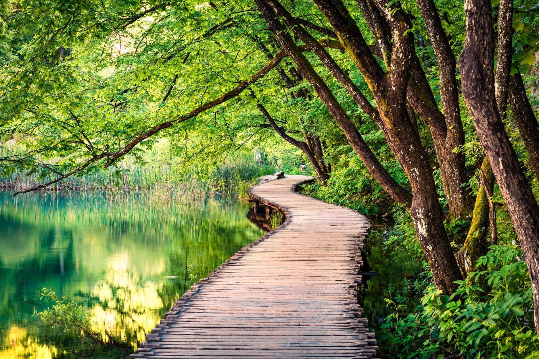 Wooden pathway winding through lush forest beside emerald green water at Plitvice Lakes.