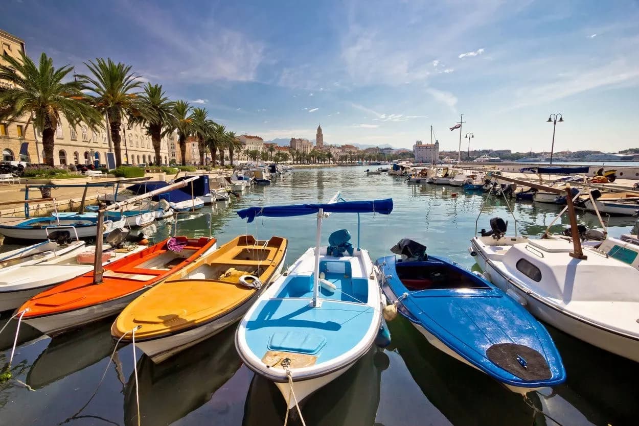 Colorful small boats moored in a sunny harbor with palm trees and city skyline in the background.