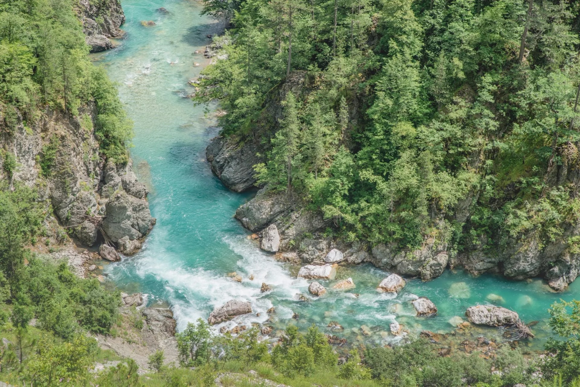 Tara-River-scaled-2