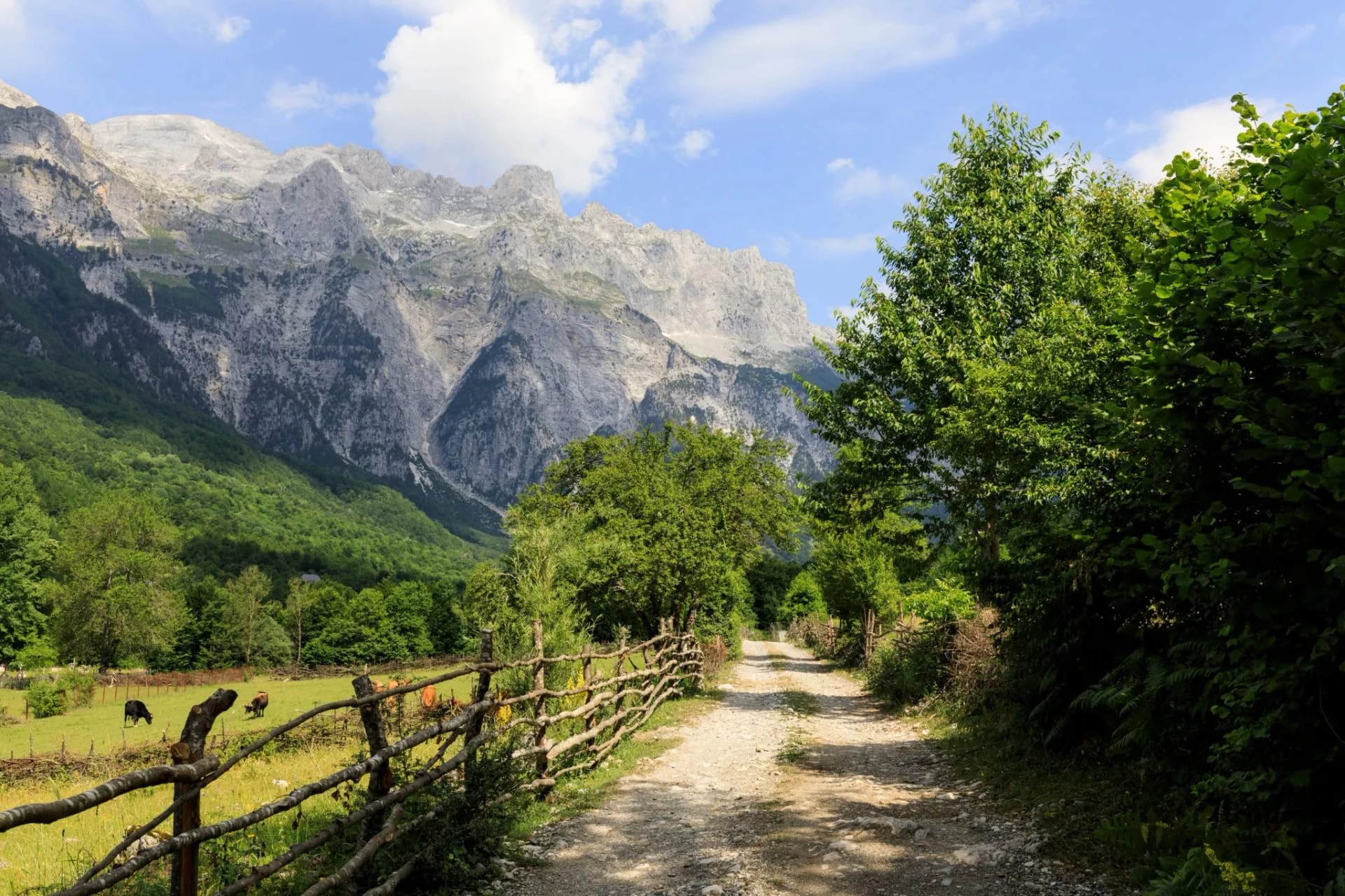Thethi-National-Park-scaled-2