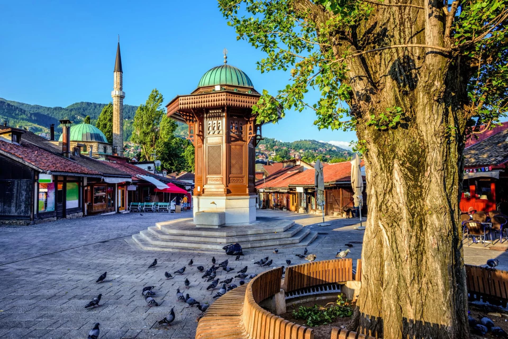 Sebilj fountain in Sarajevo old town square with pigeons and a large tree.