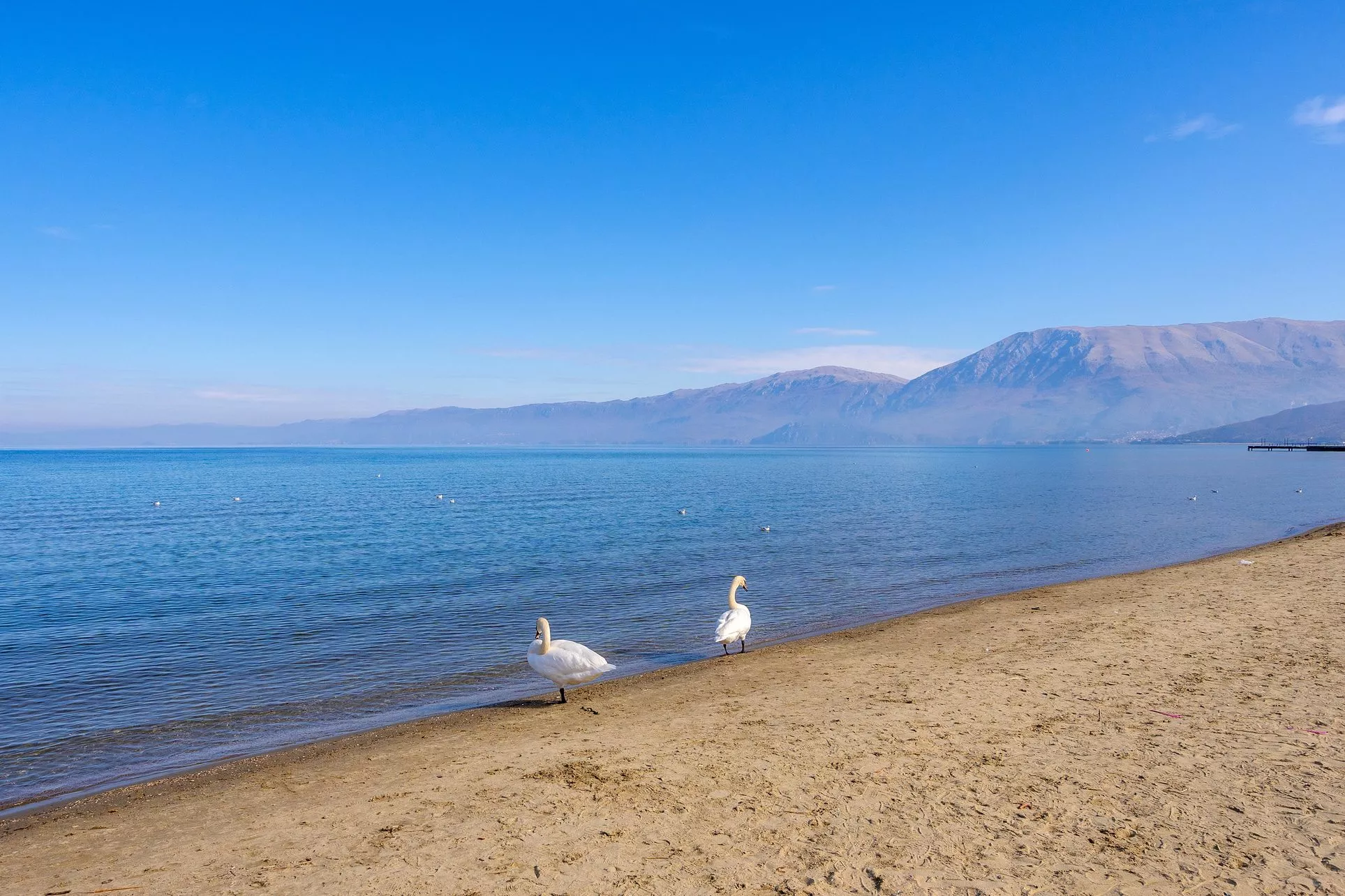Playa de arena de Ohrid