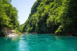 Rafting en el río Tara